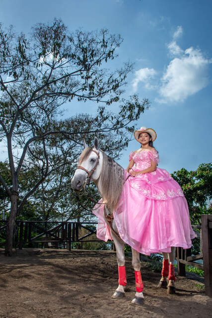 Sobre el caballo, panorama de montaña — Producciones Guzmán SV