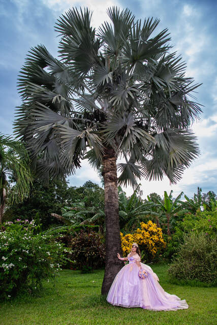 Retrato de cuerpo completo bajo palmera — Producciones Guzmán SV