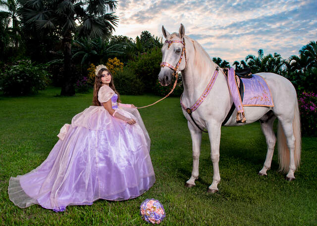 Junto a caballo blanco en jardín — Producciones Guzmán SV
